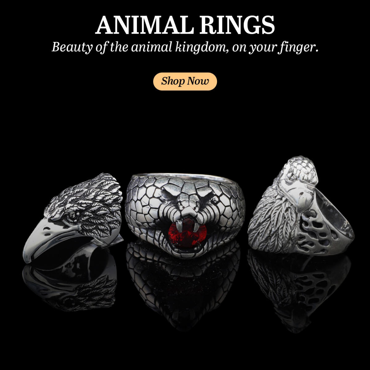 Animal Rings