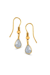 Moonstone Earrings — image 1